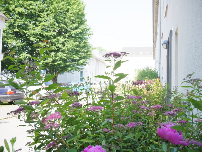 Helle Wohnung im Dachgeschoss - Photo 3